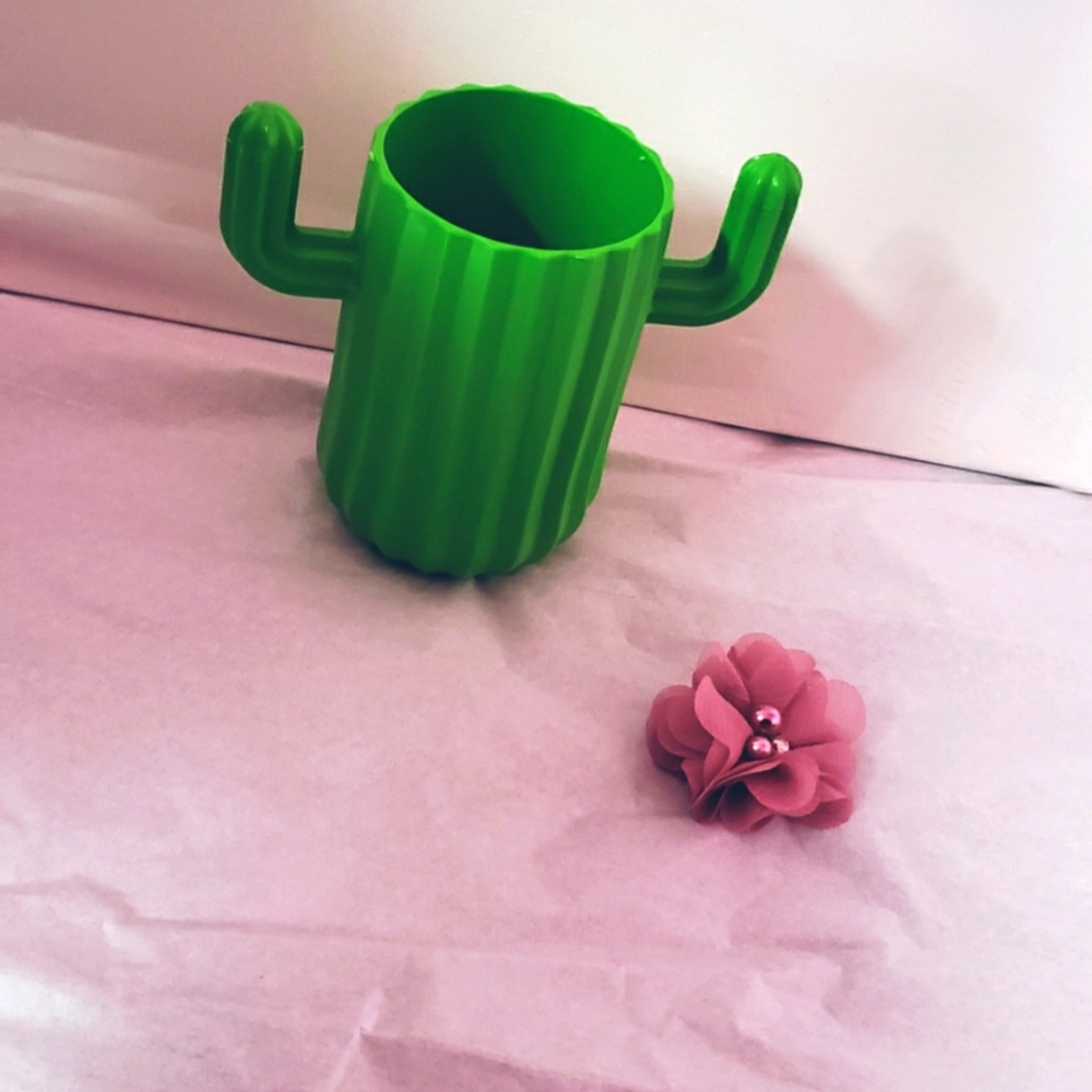 Casual cactus decor🏜💫